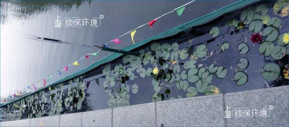 KELPBIO漂浮生物栅净水技术是“水下森林”的安全防护墙 KELPBIO漂浮生物栅净水技术是“水下森林”的安全防护墙