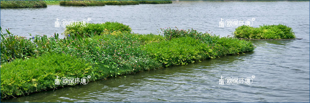 浮式处理湿地(FTWS)是由浮岛单元组成,其上有含有挺水植物的和漂浮载体。浮岛(传统的植被湿地)是一种自然现象,中国和越南、缅甸以及印度等地区的农民都有着几个世纪的水上农耕的历史。岛上农作物种植、水下渔业生产,一直处于一个长期稳定的平衡状态。 浮式处理湿地(FTWS)是由浮岛单元组成,其上有含有挺水植物的和漂浮载体。浮岛(传统的植被湿地)是一种自然现象,中国和越南、缅甸以及印度等地区的农民都有着几个世纪的水上农耕的历史。岛上农作物种植、水下渔业生产,一直处于一个长期稳定的平衡状态。