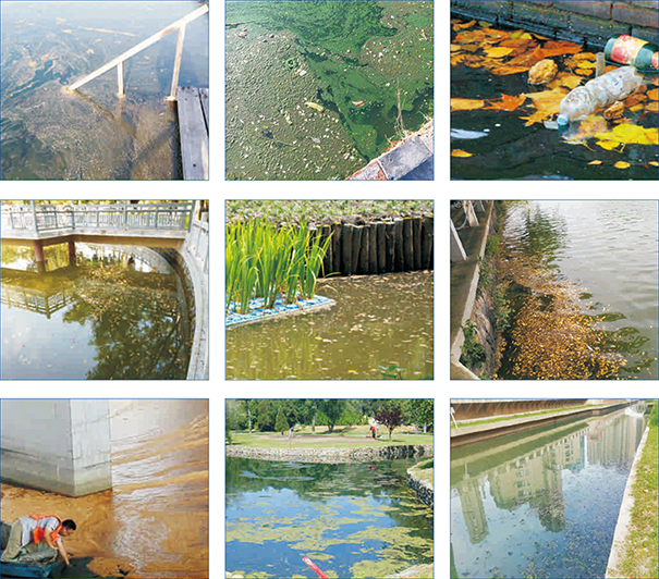 无人值守半自动河道保洁船(太阳能保洁船)收集垃圾尺寸范围大(5~500mm) 小到浮萍,大到塑料瓶都能打捞 无人值守半自动河道保洁船(太阳能保洁船)收集垃圾尺寸范围大(5~500mm) 小到浮萍,大到塑料瓶都能打捞