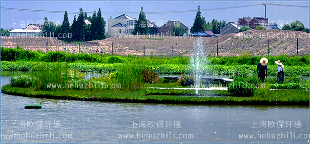 SOLARAER-BGF750C太阳能喷泉曝气机 SOLARAER-BGF750C太阳能喷泉曝气机