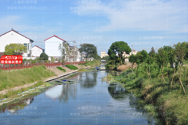 农村污水处理设备 农村污水处理设备