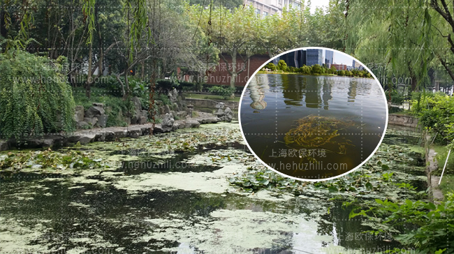 河流污染治理 河流污染治理