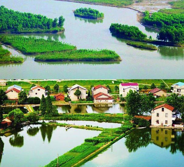 五湖连通水中岛屿-浮动湿地 五湖连通水中岛屿-浮动湿地