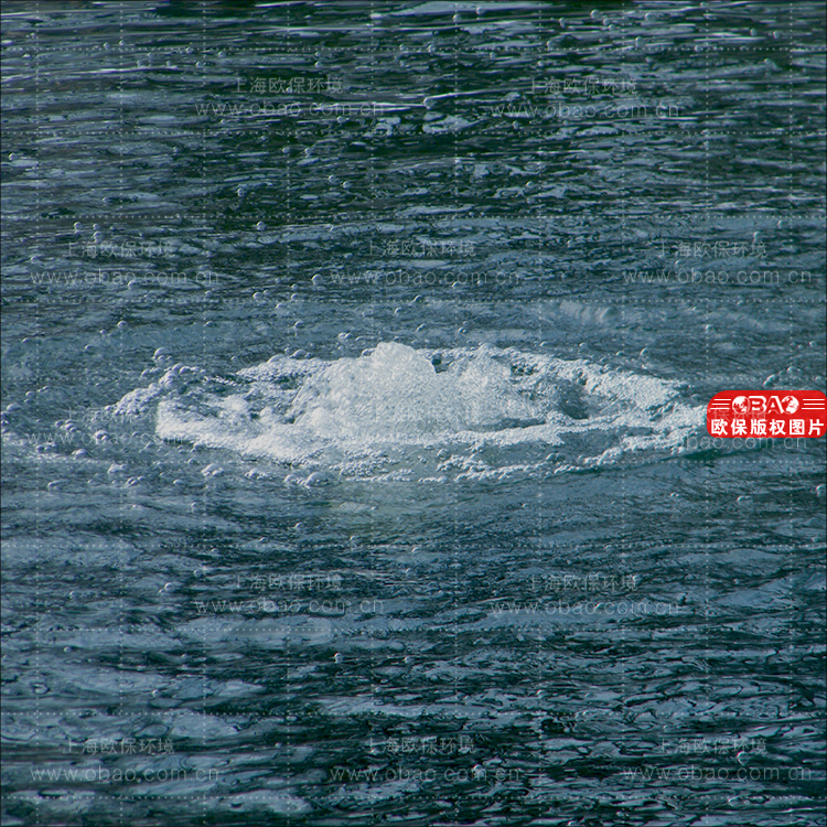 BURSTING液气能曝气机 BURSTING液气能曝气机