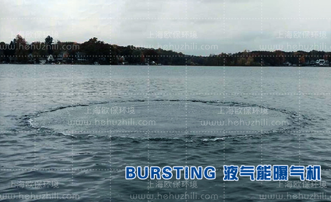BURSTING-230液气能曝气机 BURSTING-230液气能曝气机