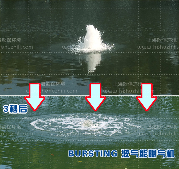 BURSTING-230液气能曝气机 BURSTING-230液气能曝气机