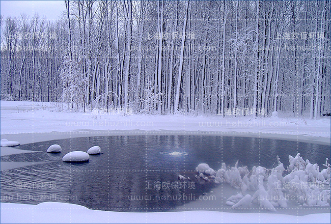 BURSTING-230液气能曝气机 BURSTING-230液气能曝气机