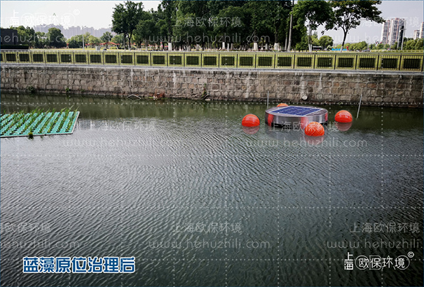 安装光触媒蓝藻消除机一周后,水色自然,无蓝藻聚集 安装光触媒蓝藻消除机一周后,水色自然,无蓝藻聚集