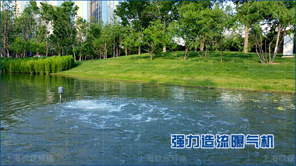 沉水造流曝气机具有较强适应性,耐行洪 沉水造流曝气机具有较强适应性,耐行洪
