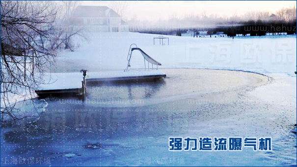 沉水造流曝气机具有较强适应性,耐严寒,抗冰冻 沉水造流曝气机具有较强适应性,耐严寒,抗冰冻