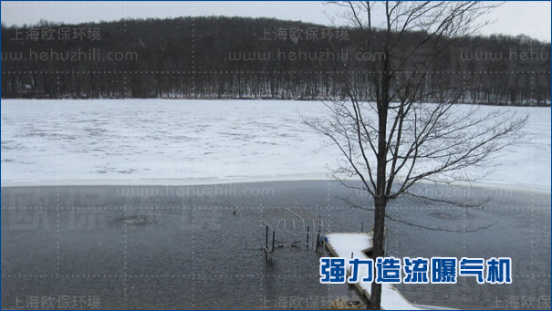 沉水造流曝气机具有较强适应性,耐严寒,抗冰冻 沉水造流曝气机具有较强适应性,耐严寒,抗冰冻