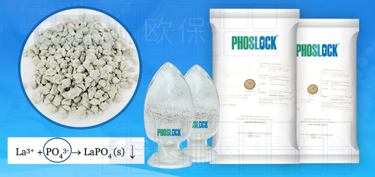 Phoslock®锁磷剂,全球案例超过300个,使用后总磷可降至0.01mg/L,达到地表I标准,该锁磷剂符合北美及欧洲饮用水源地NSF\ANSI60标准。 Phoslock®锁磷剂,全球案例超过300个,使用后总磷可降至0.01mg/L,达到地表I标准,该锁磷剂符合北美及欧洲饮用水源地NSF\ANSI60标准。