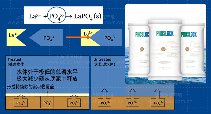 锁磷剂净水机理 锁磷剂净水机理
