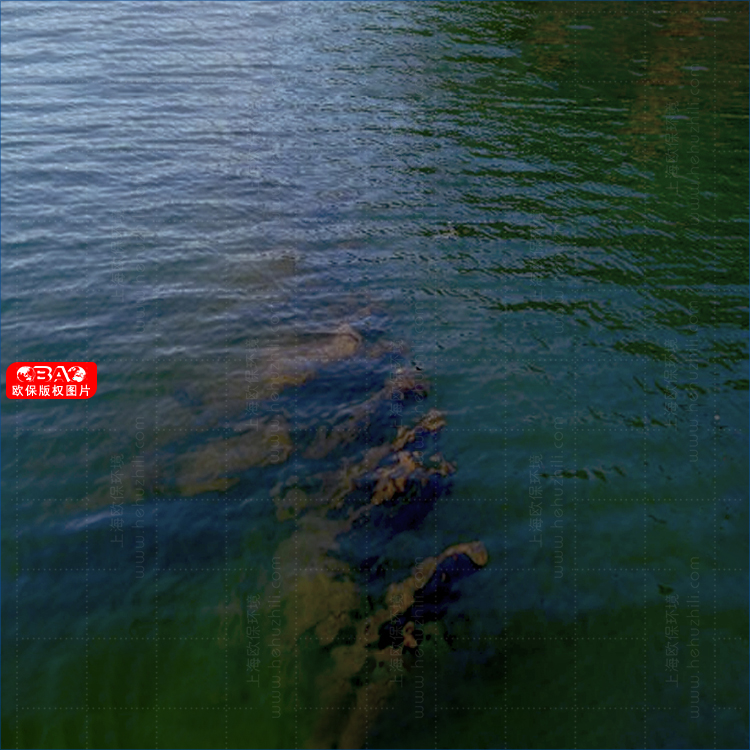 KELPBIO-S250簇团型生境填料的应用案例 KELPBIO-S250簇团型生境填料的应用案例