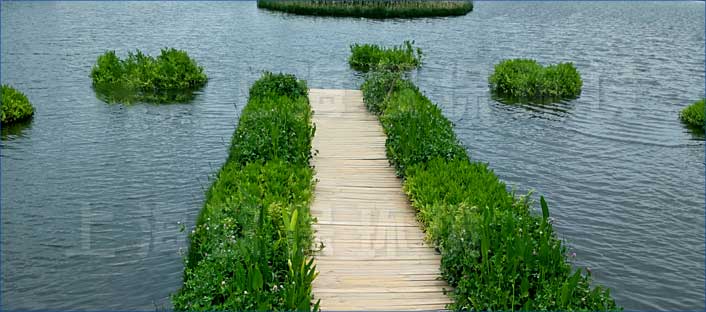 浮田型漂浮湿地用于人工湖浮岛 浮田型漂浮湿地用于人工湖浮岛