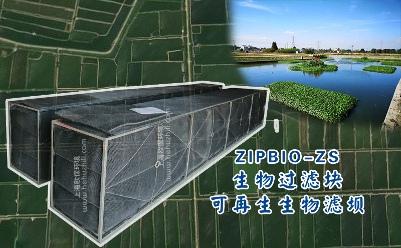 &ldquo;三池两坝&rdquo;：淡水池塘养殖尾水治理的关键工艺