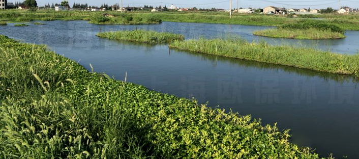 漂浮湿地在湖泊中应用蓝图设计 漂浮湿地在湖泊中应用蓝图设计