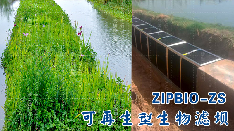 可再生型生物过滤坝是一种结合物理拦截与生物净化功能的创新水处理技术