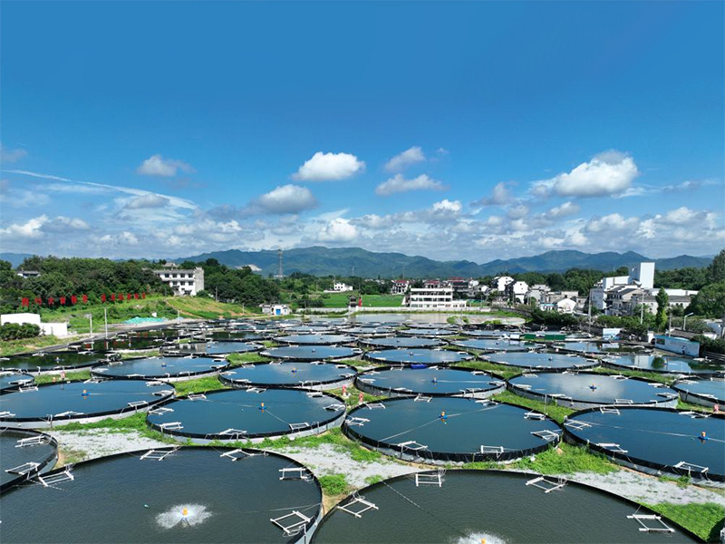 将&ldquo;源头控制&rdquo;与&ldquo;末端治理&rdquo;完美结合的养殖尾水综合治理方案：以可再生滤坝为基础的三池两坝工艺