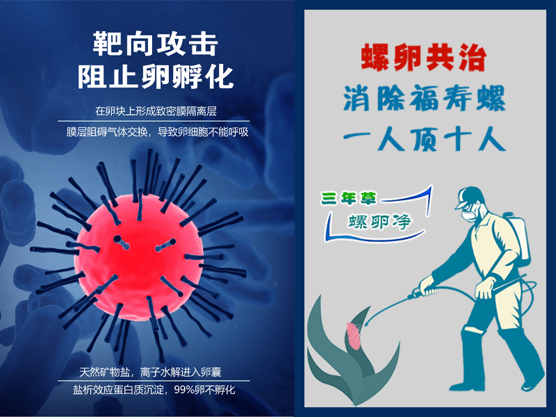 三年草螺卵净PCBC